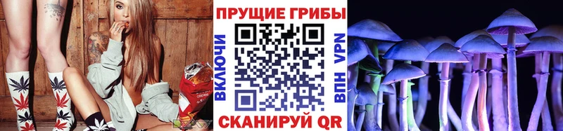 Псилоцибиновые грибы Psilocybine cubensis  Калуга 
